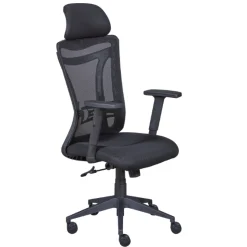 Admin Ergonomischer Bürostuhl - verstellbar - schwarz