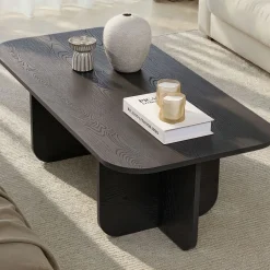 Couchtisch Akira - 100% MELAMINE - Holzschwarz - 41 x 60 x 120 cm