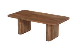 Couchtisch Aspinall | 120 x 60 x 40 cm | Mangoholz