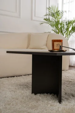 Couchtisch Sabin - 100% MELAMINE - Holzschwarz - 40 x 60 x 119 cm