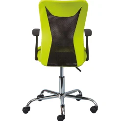 Drehstuhl Donny ergonomische Rückenlehne - grün