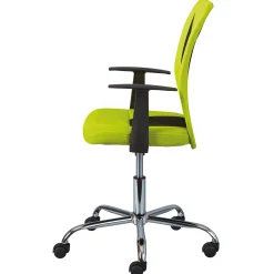 Drehstuhl Donny ergonomische Rückenlehne - grün