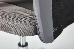 Drehstuhl Donny ergonomische Rückenlehne - grau