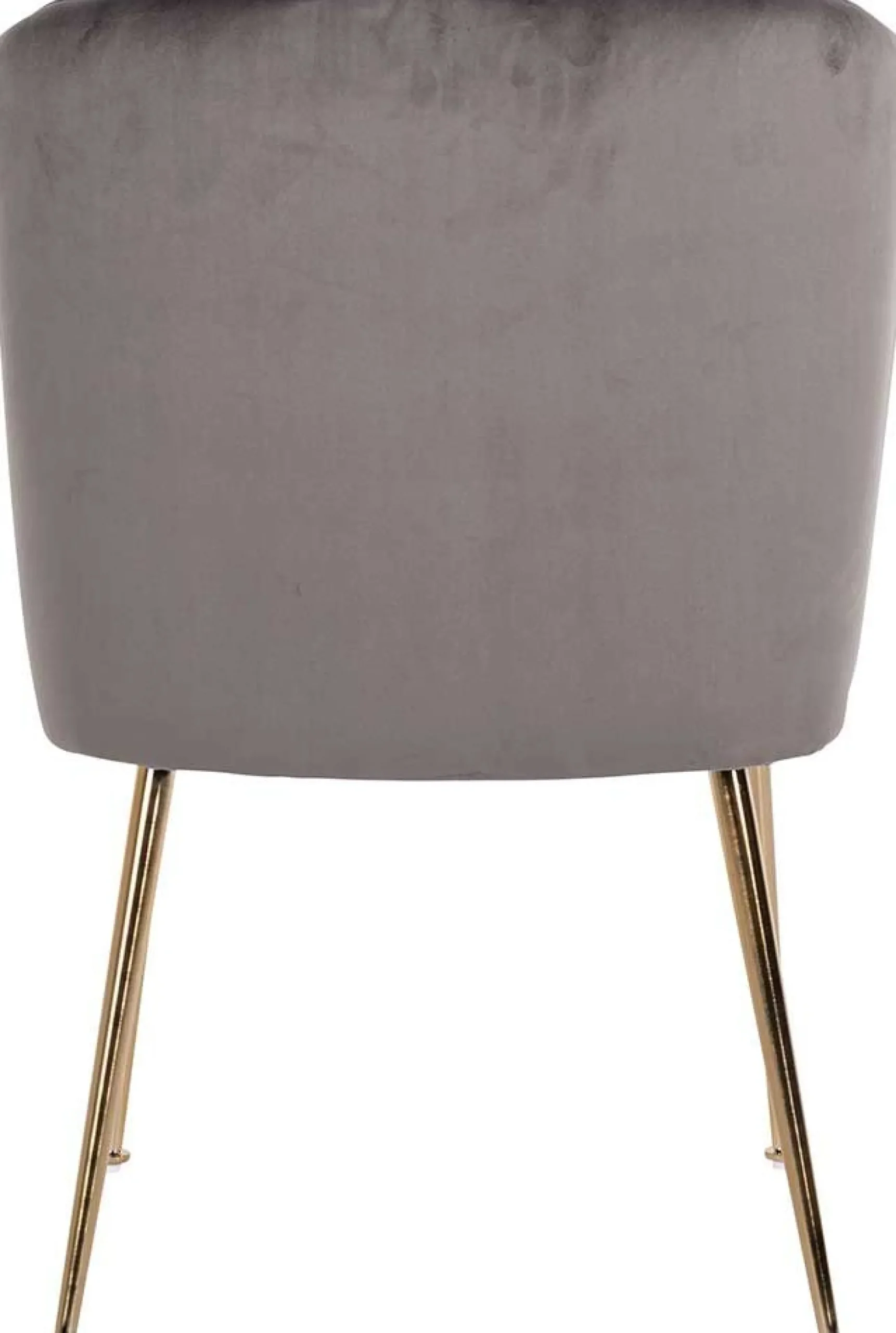 Esszimmerstuhl Cannon velvet - grau/gold