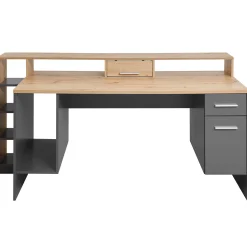 Gaming-Schreibtisch Tudi inkl. Lampe - grau/holz