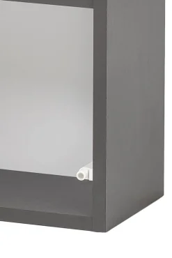 Hängeschrank Kornel/Luna 40cm 1 Tür - graphitgrau/eiche