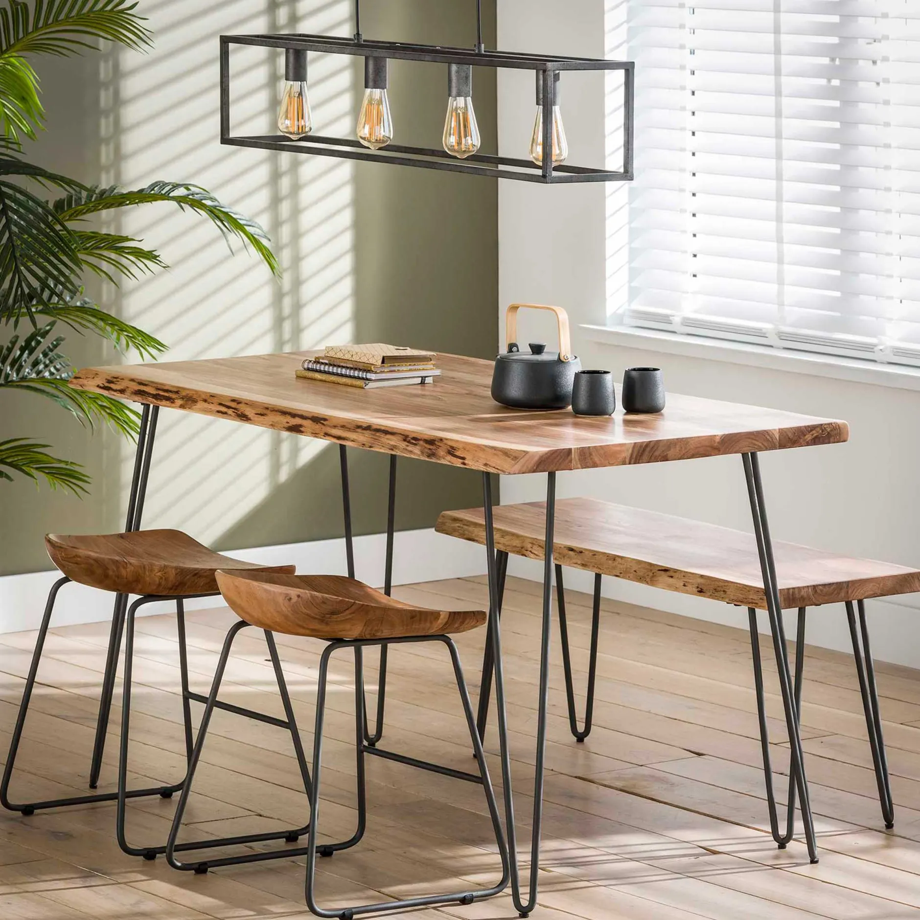 Hocker Elena - Akazie