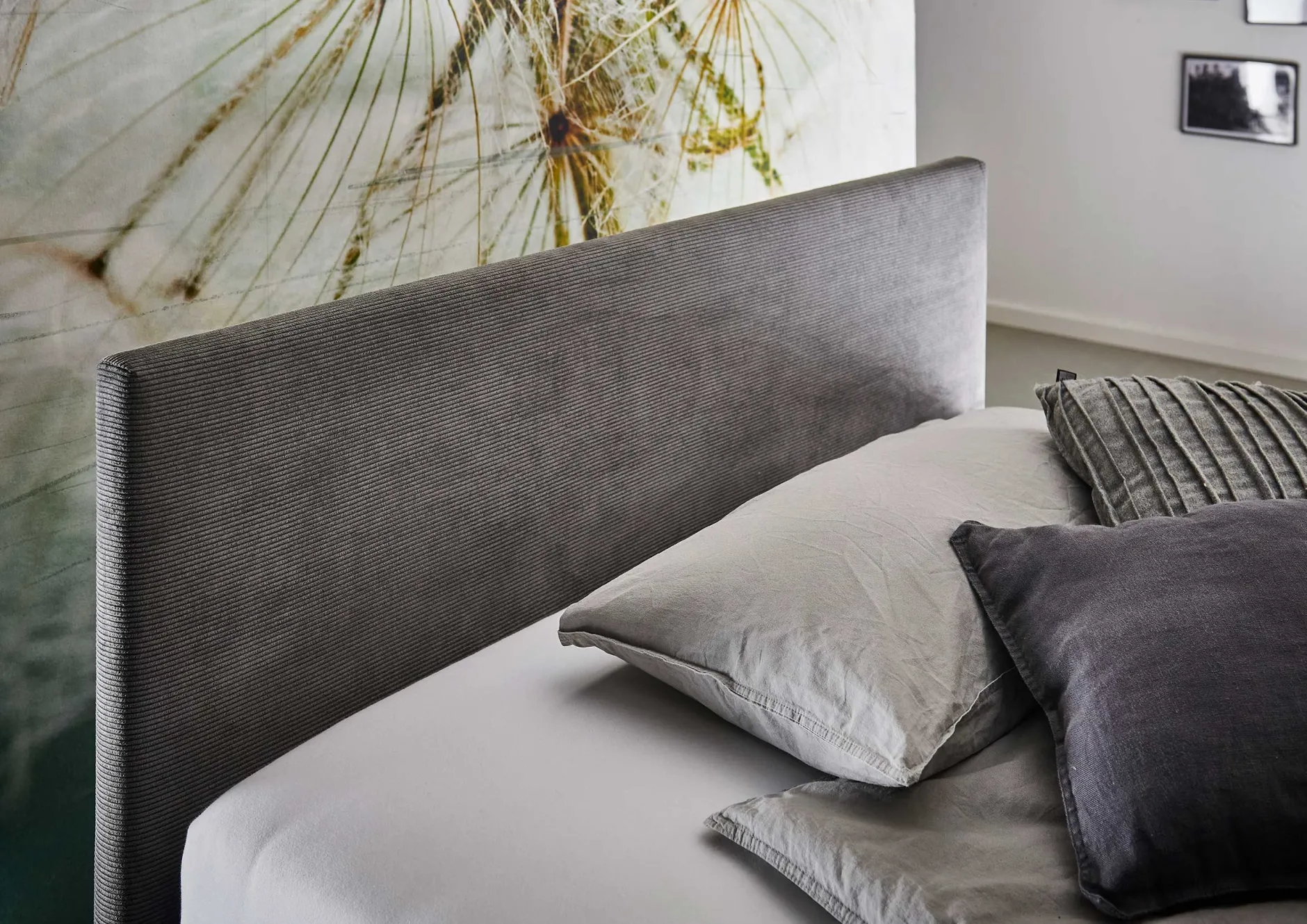 Kofferbett Cool | 120 x 200 cm | Design Anthrazit