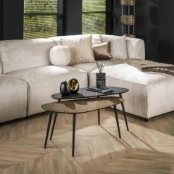 Mariola Couchtisch-Set Bio-Metallic/Grau