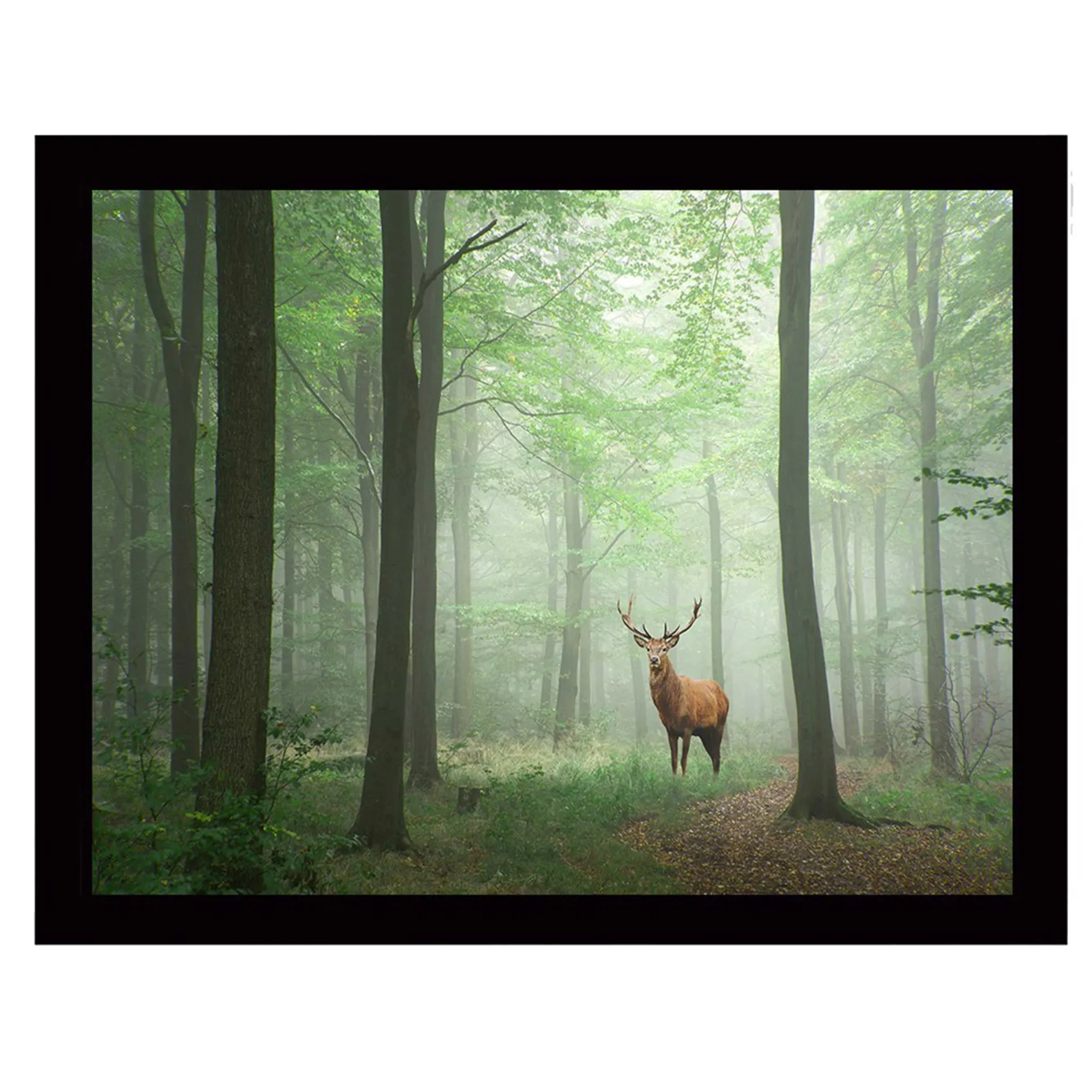Marvellous Dekoratives gerahmtes MDF-Gemälde | Holzrahmen | 41 x 56 cm