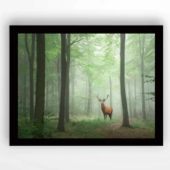 Marvellous Dekoratives gerahmtes MDF-Gemälde | Holzrahmen | 41 x 56 cm