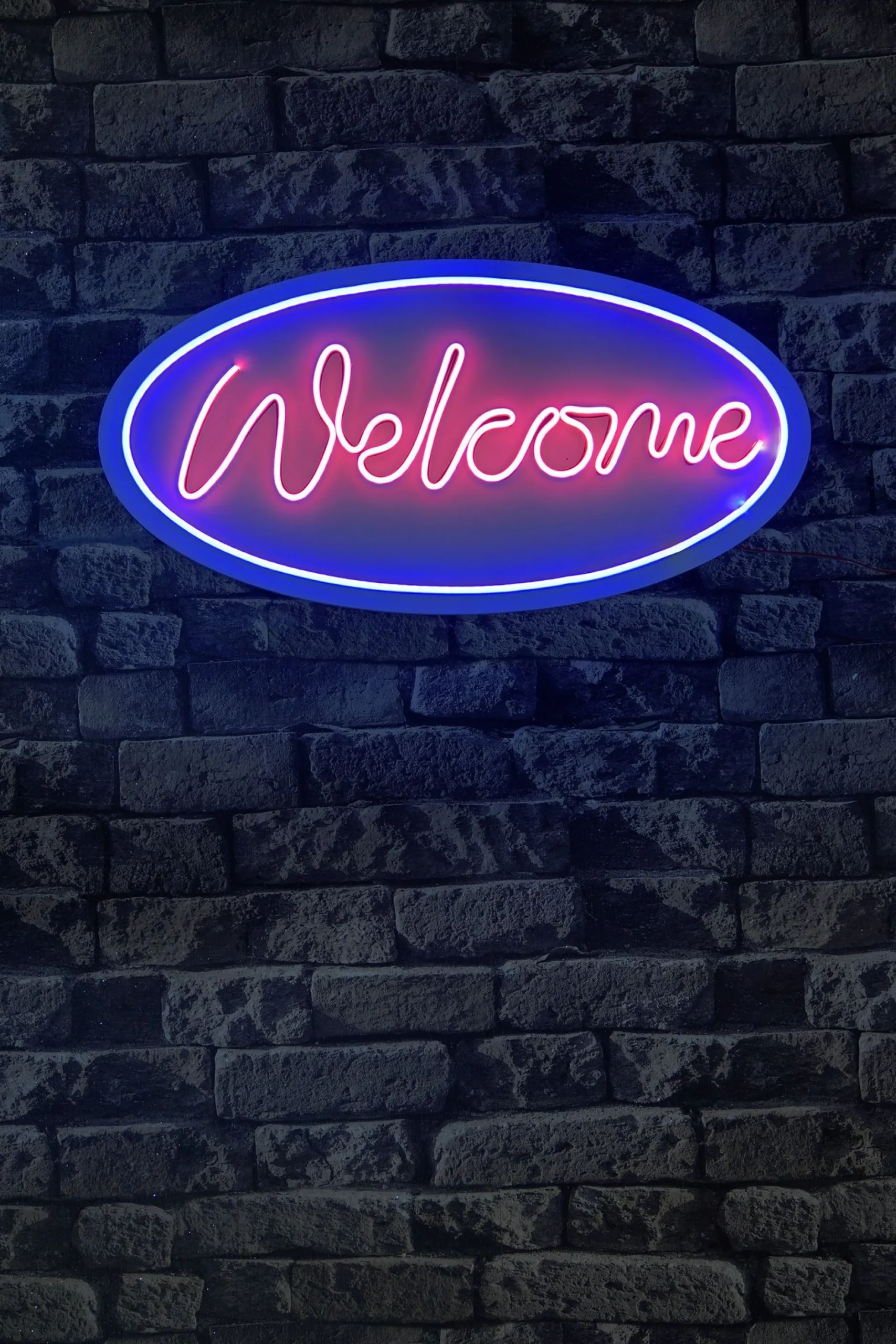 Neon Graph Dekorative LED-Beleuchtung aus Kunststoff | Blau & Rosa | 29 x 58 x 2 cm