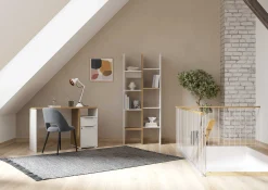 Schreibtisch Access | 116,7 x 44,9 x 77,4 | Weiß