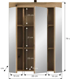 Spiegelschrank Scout Xonox - Evoak Oak - 60x79x18 cm - mit Beleuchtung