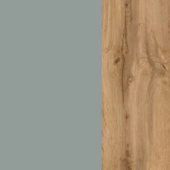 Säulenschrank Gene 30cm 1 Tür - wotan Eiche/grün