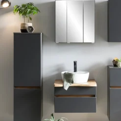 VikasBadezimmer : Säulenschrank, Spiegelschrank, Waschbeckenschrank - anthrazit