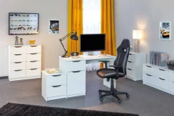 Vitrinenschrank Collecty - schwarz/weiß